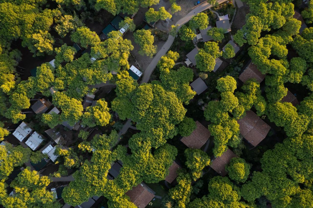 Camping Il Capannino Glamping Village Marina Di Bibbona Zewnętrze zdjęcie