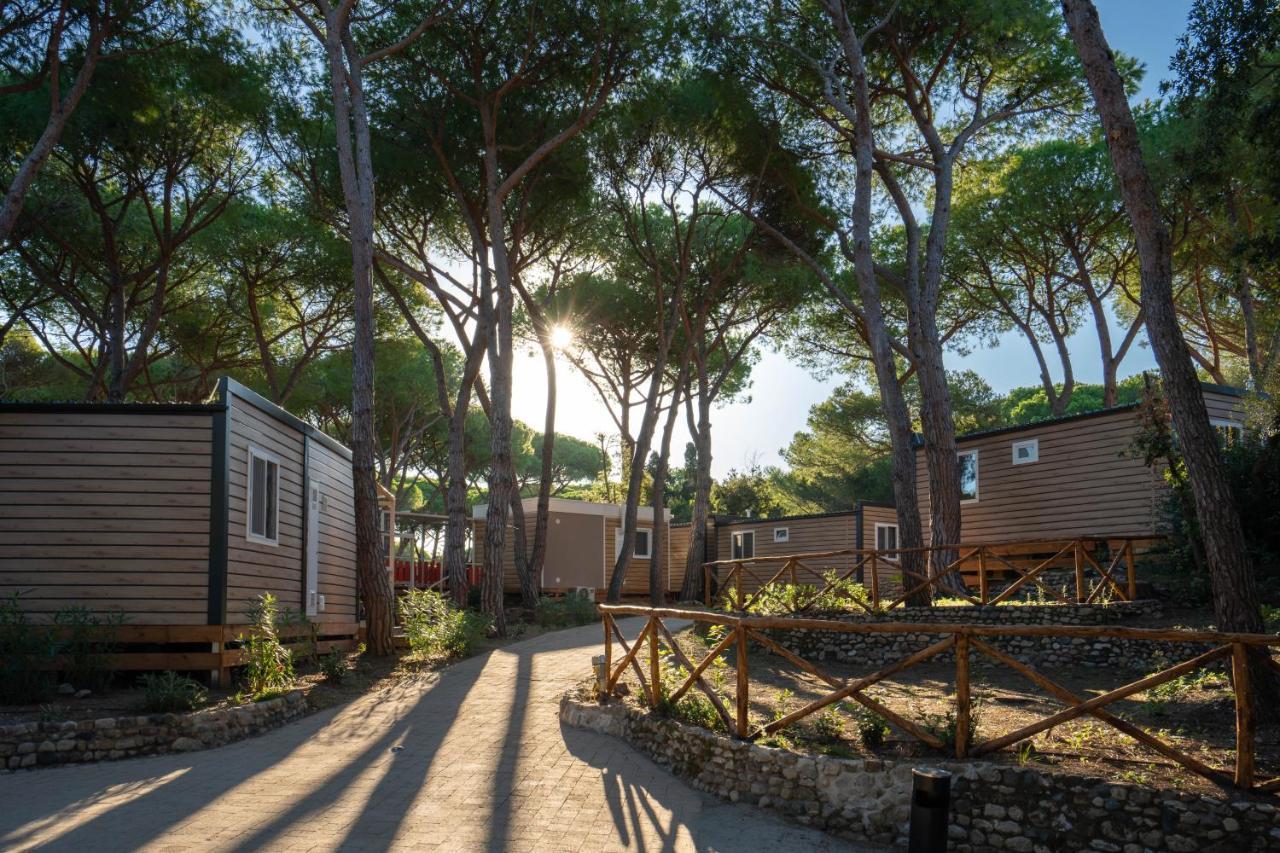 Camping Il Capannino Glamping Village Marina Di Bibbona Zewnętrze zdjęcie